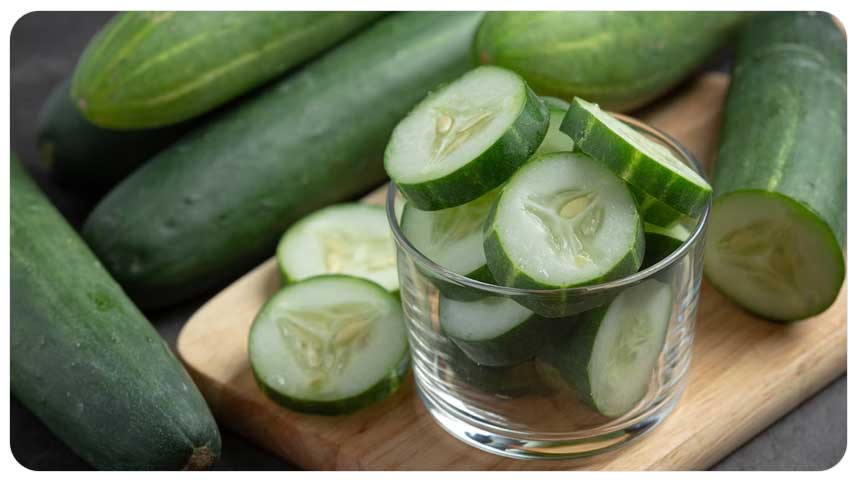 오이의-껍질과-가까운-곳의-쓴맛을-내는-'쿠쿠르비타신' 성분