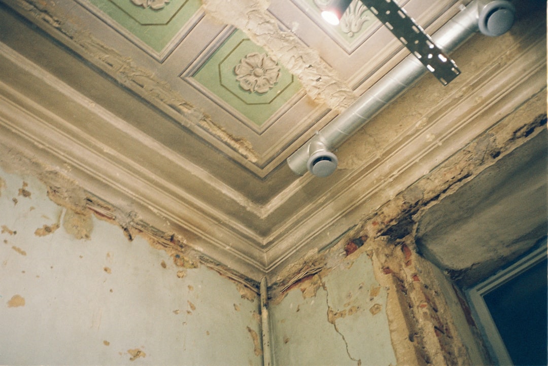 Mold.