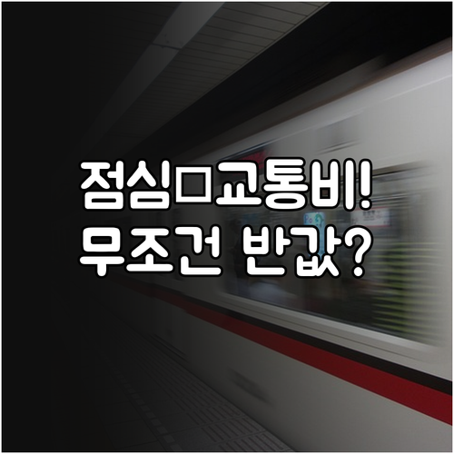 직장인 신용카드 혜택 극대화 점심값 ..