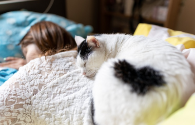 여자아이의 등에서 잠자는 검은 고양이