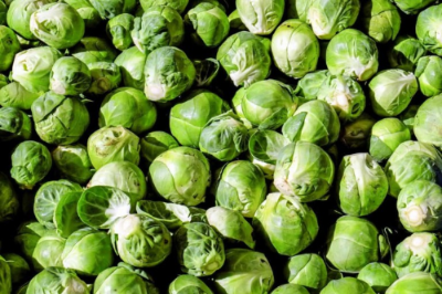 방울양배추 사진