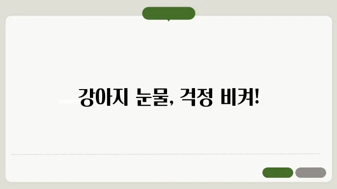 강아지 눈물자국 제거제 추천 BEST5, 효과와 사용법 알아보기
