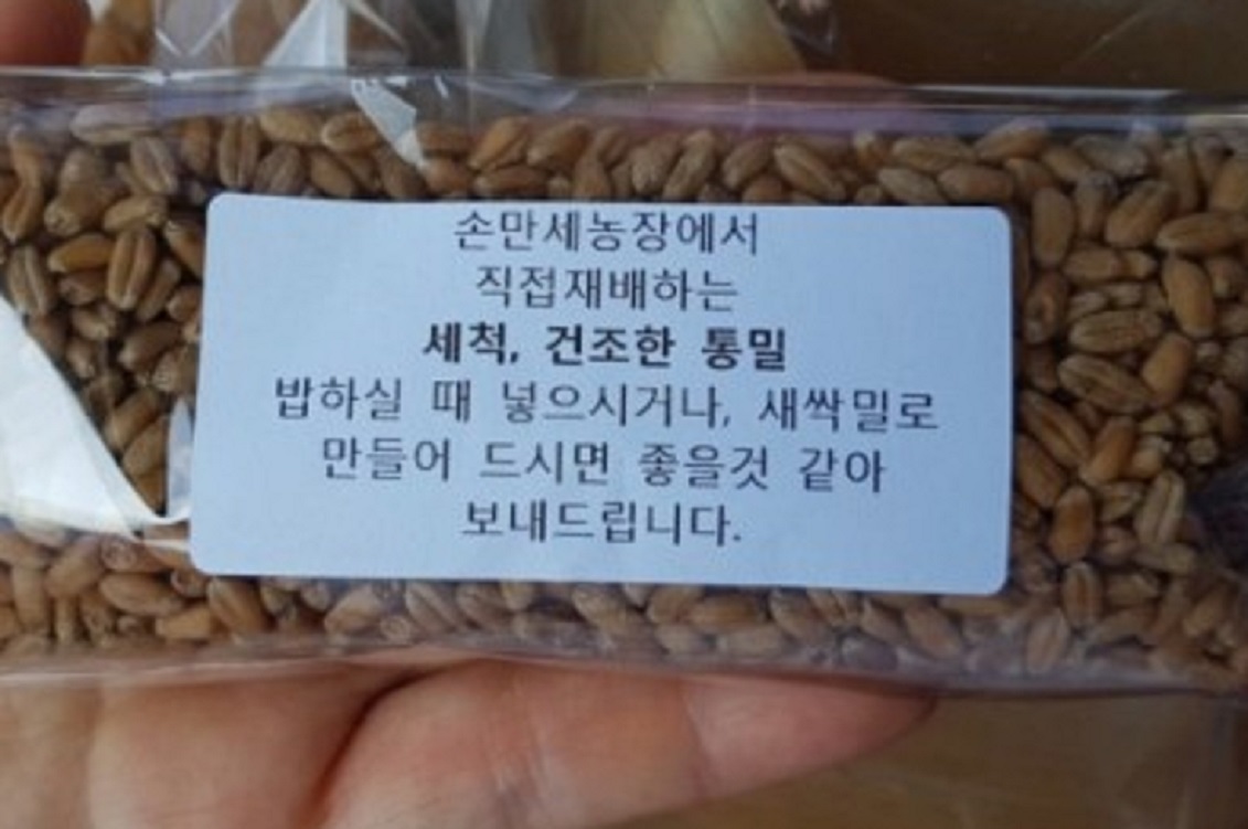 손만세농장-우리통밀-유기농빵