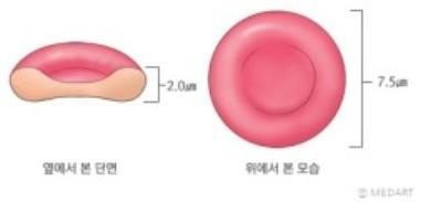 혈색소 수치가 높으면