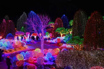 아침고요수목원 입장료 근처 맛집 펜션 추천_2