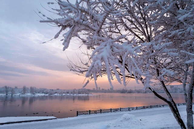 늦겨울 날씨 모습