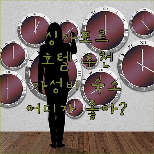 싱가포르 호텔 추천 더 스누즈 호텔