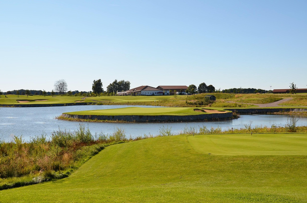 집에서 완성하는 퍼펙트 스윙 (자세, 거울, 영상분석)