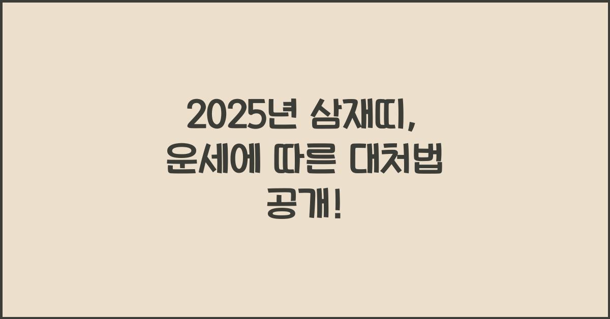 2025년 삼재띠
