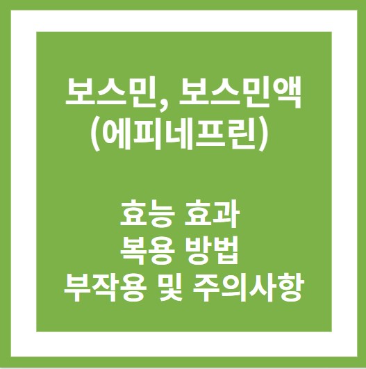보스민, 보스민액(에피네프린) 효능 효과 썸네일