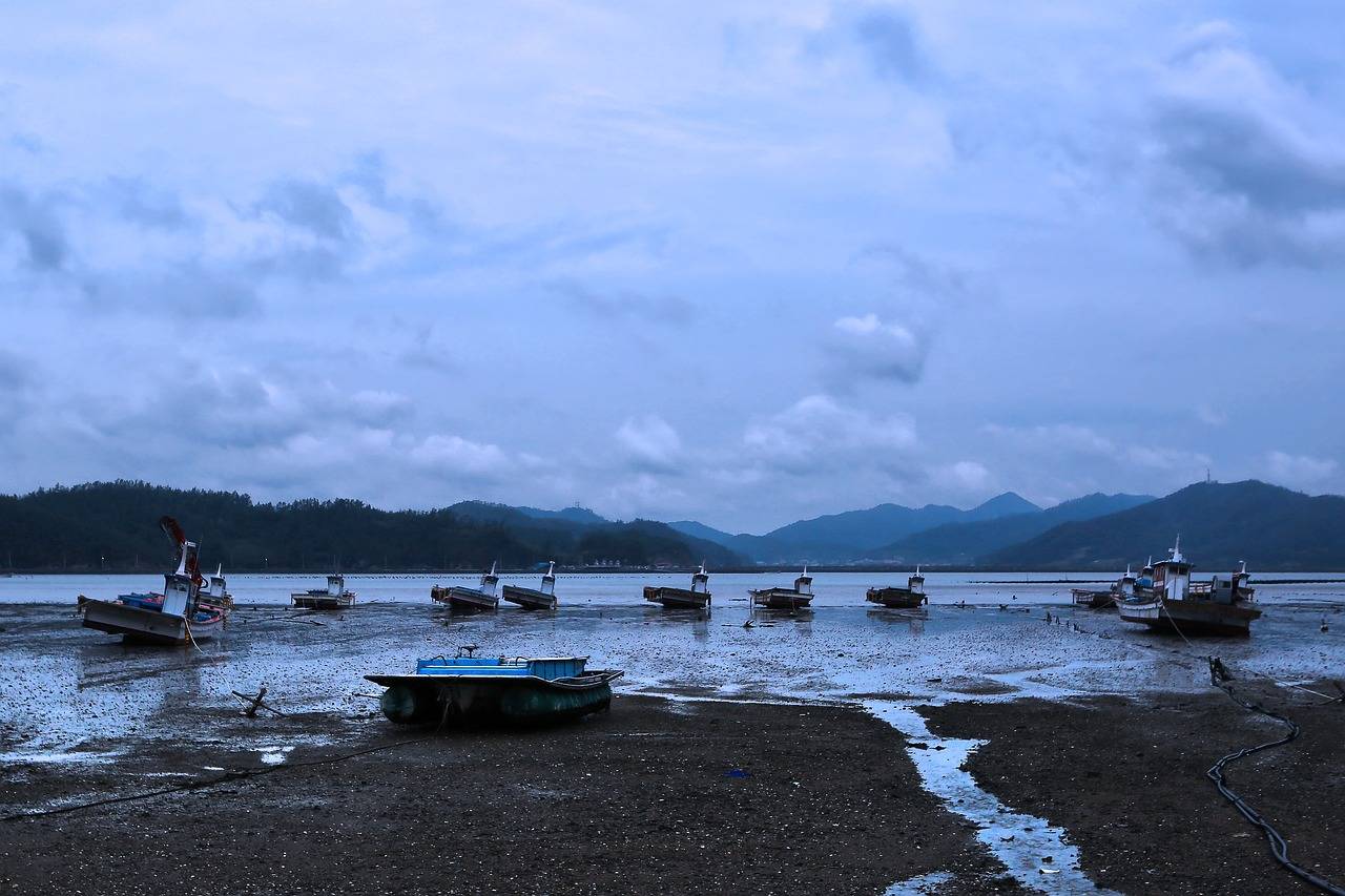 2025 대한민국 숙박세일페스타 쿠폰 재발급 가능할까?