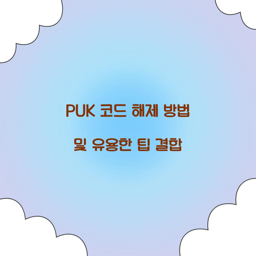 PUK 코드 해제 방법