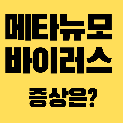 사람메타뉴모바이러스증상치료제