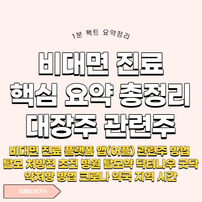 비대면 진료 플랫폼 앱(어플) 대장주 관련주 방법 탈모 처방전 초진