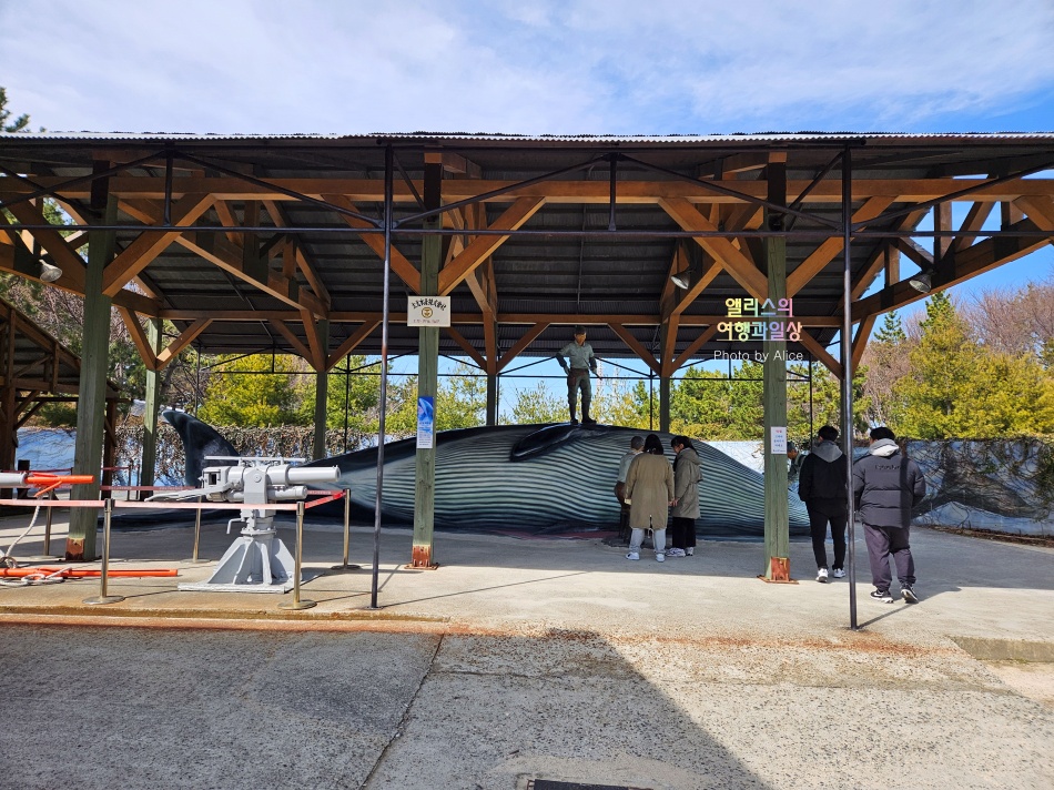 울산여행 가볼만한곳, 장생포고래문화마을 볼거리 체험 마을