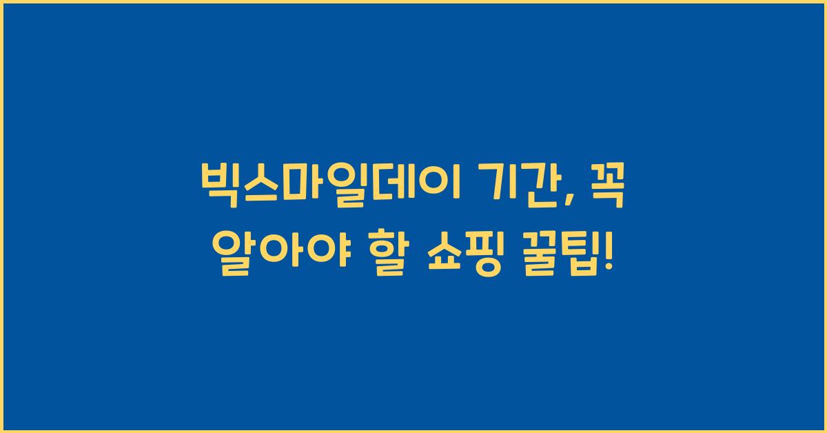 빅스마일데이 기간