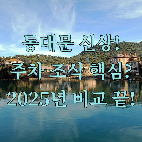 2024 2025 동대문 신상 호텔 ..