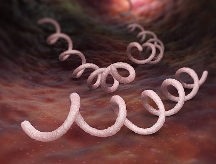 매독의 원인과 증상, 진단, 치료와 예방 방법, 합병증