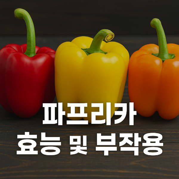 파프리카 색깔별 효능과 효과 및 부작용 알아보기