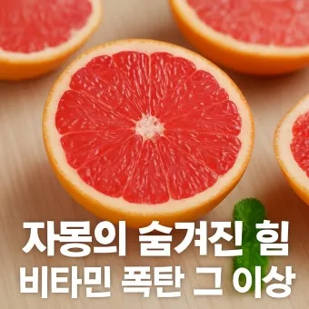 자몽 효능과 건강 효과_11