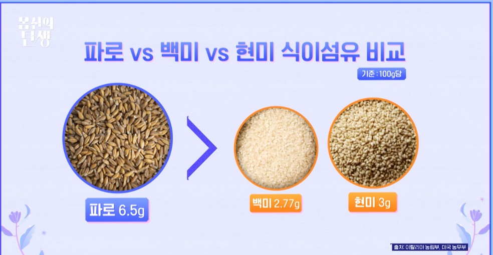 파로설명