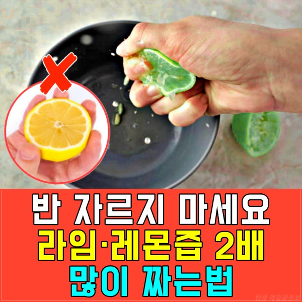 라임·레몬즙 짜는법, 레몬즙 짜는 기계, 요리, 연어, 샐러드, 레모네이드, 팁줌 매일꿀정보