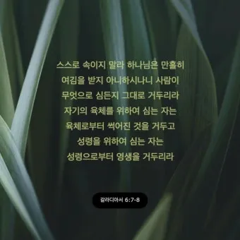 갈라디아서 6장 14절 묵상 십자가의 자랑_14