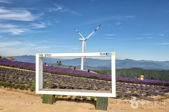 거창 가볼만한곳 베스트 10