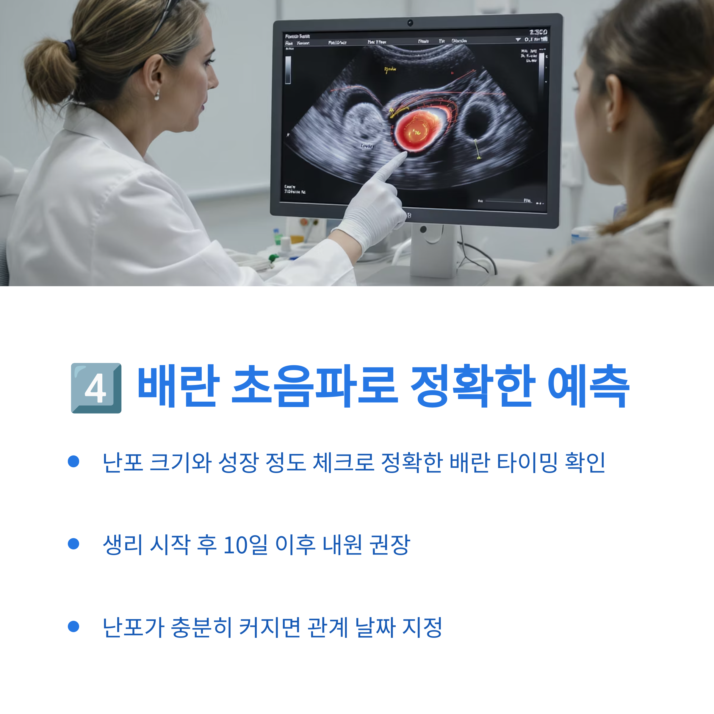 의료진이 초음파를 보며 난포 상태를 설명하는 모습과 함께 초음파를 통한 정확한 배란일 예측 방법을 소개하는 이미지