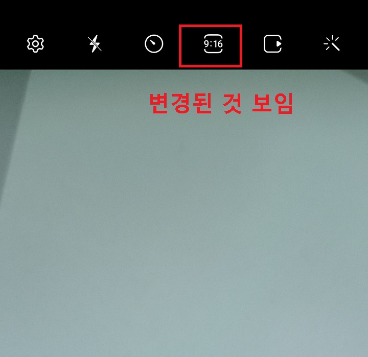 변경된 비율 보임