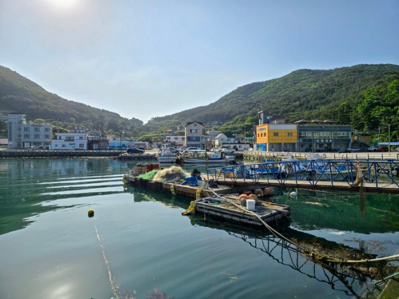 거제 저구항 소매물도 배시간표