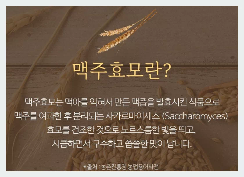 맥주효모란?