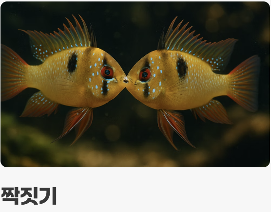 관찰하는 즐거움, 알콩달콩한 번식