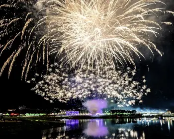 장성 황룡강 가을꽃축제_18