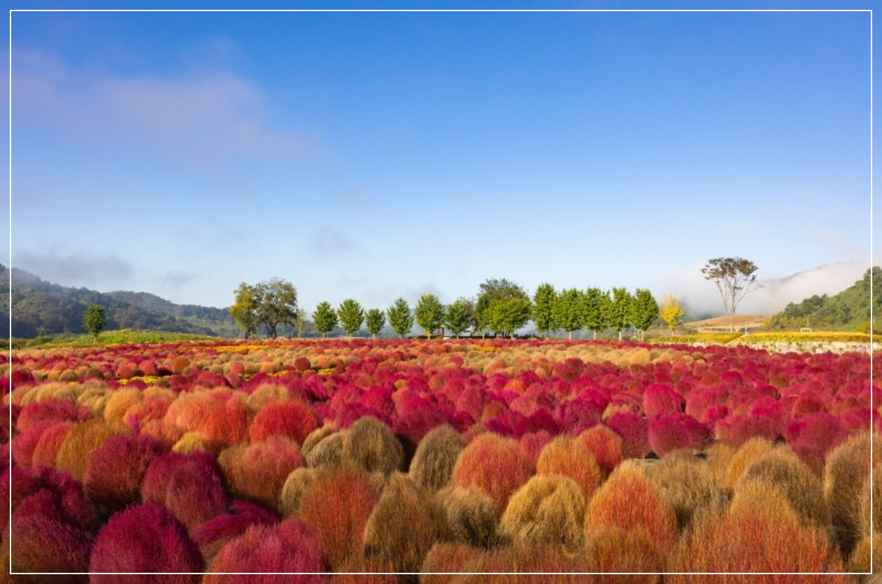 연천 가볼만한곳 베스트10 임진강 댑싸리공원