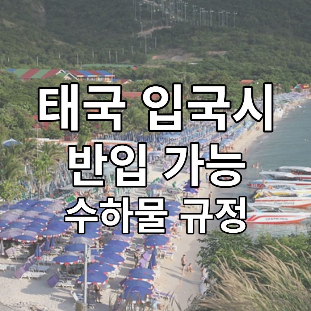 태국 입국 반입 관련 주의 사항