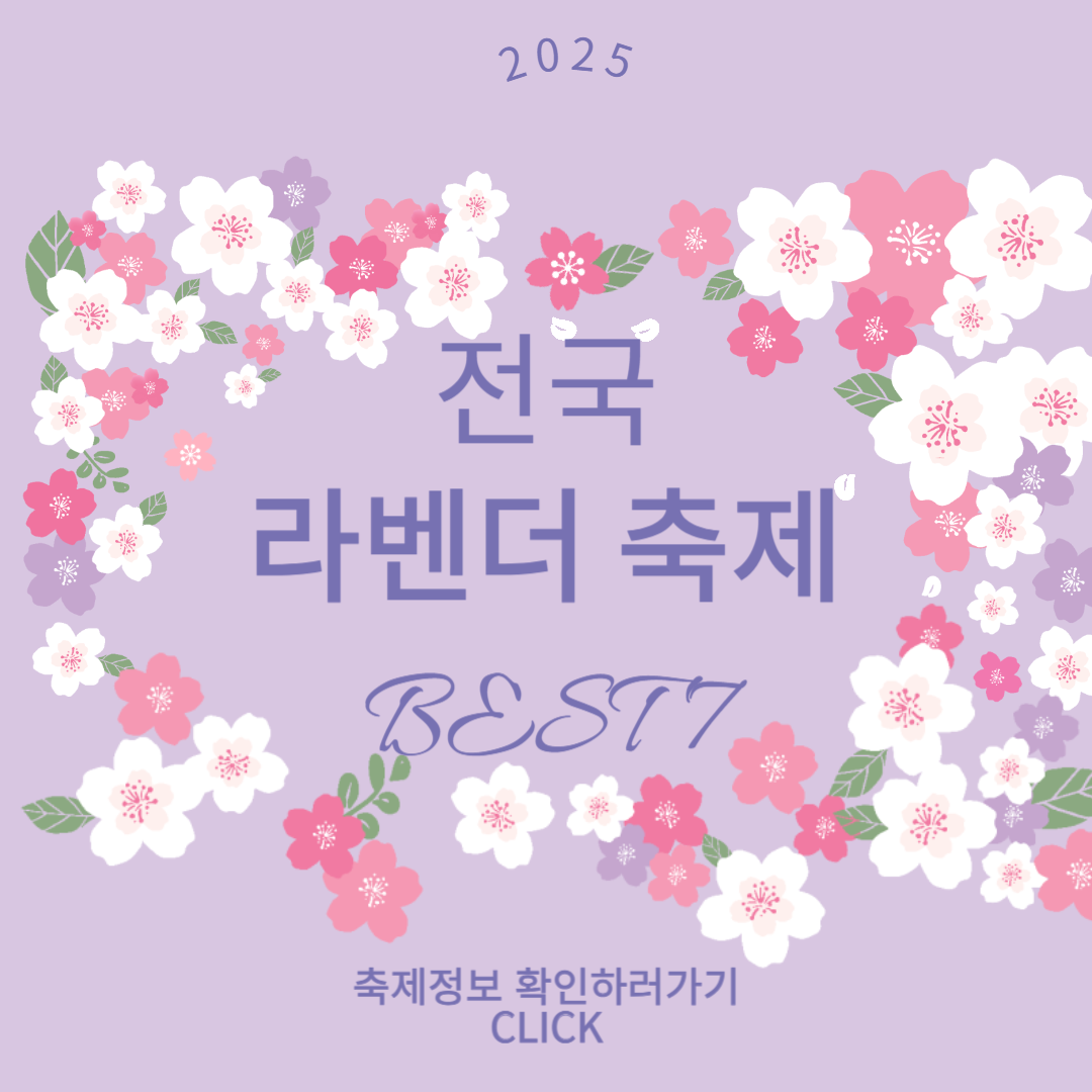 라벤더 축제