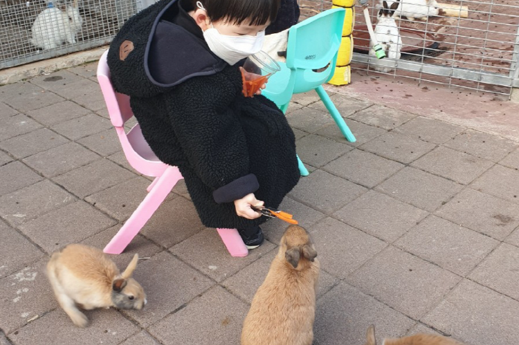 퍼스트가든 별빛축제