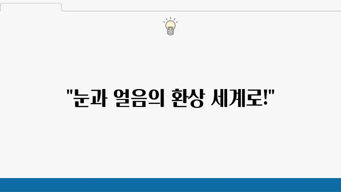 삿포로 눈축제 정보