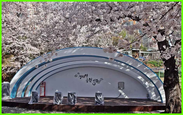 화역 벚꽃길 개화 시기와 가는 방법 완벽