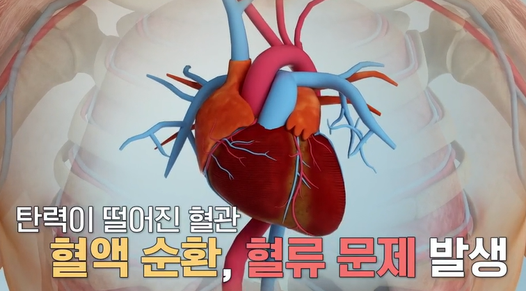 아르기닌의 효능