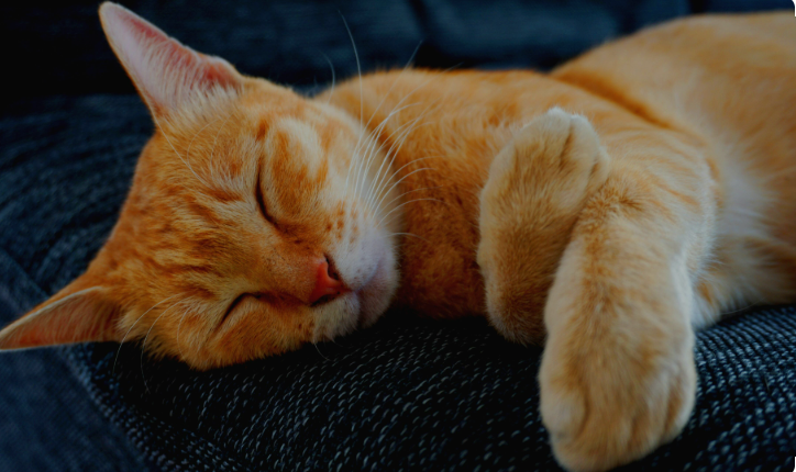 슬리핑보틀로 꿀잠