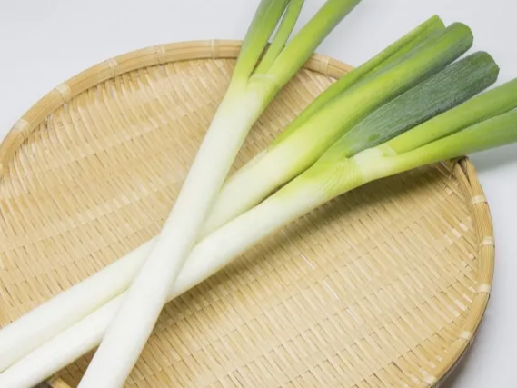 대파 효능 세포 보호