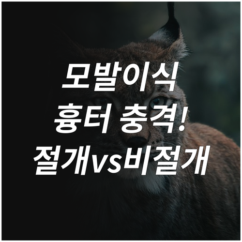 모발이식 후 흉터와 회복기간 절개 비..