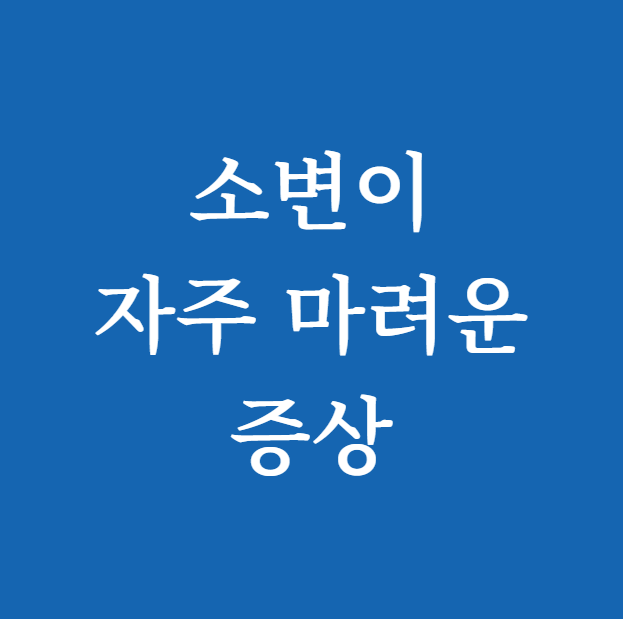 소변이 자주 마려운 증상
