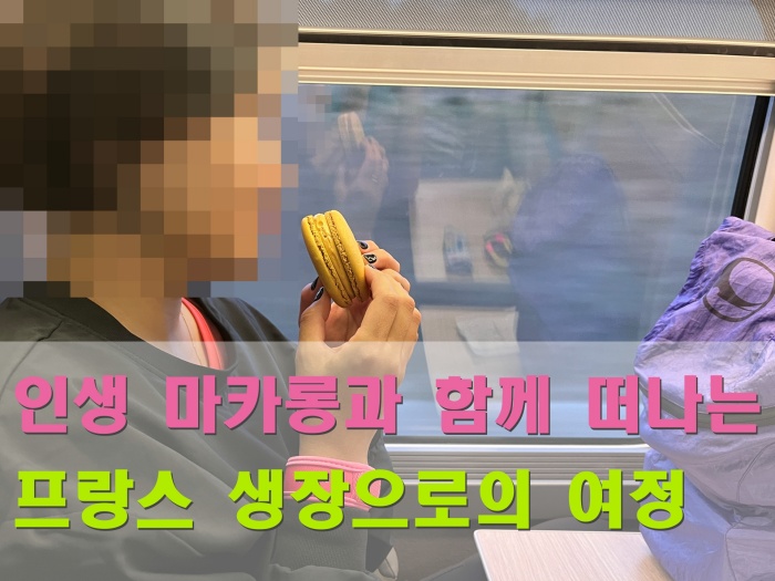 산티아고 순례길 후기, 생장 피에드 포르