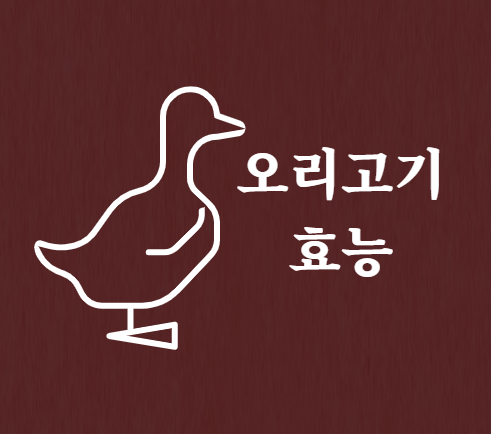 오리고기 효능