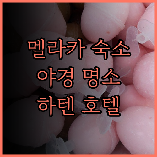 하텐 호텔 멜라카 솔직 후기 말라카 