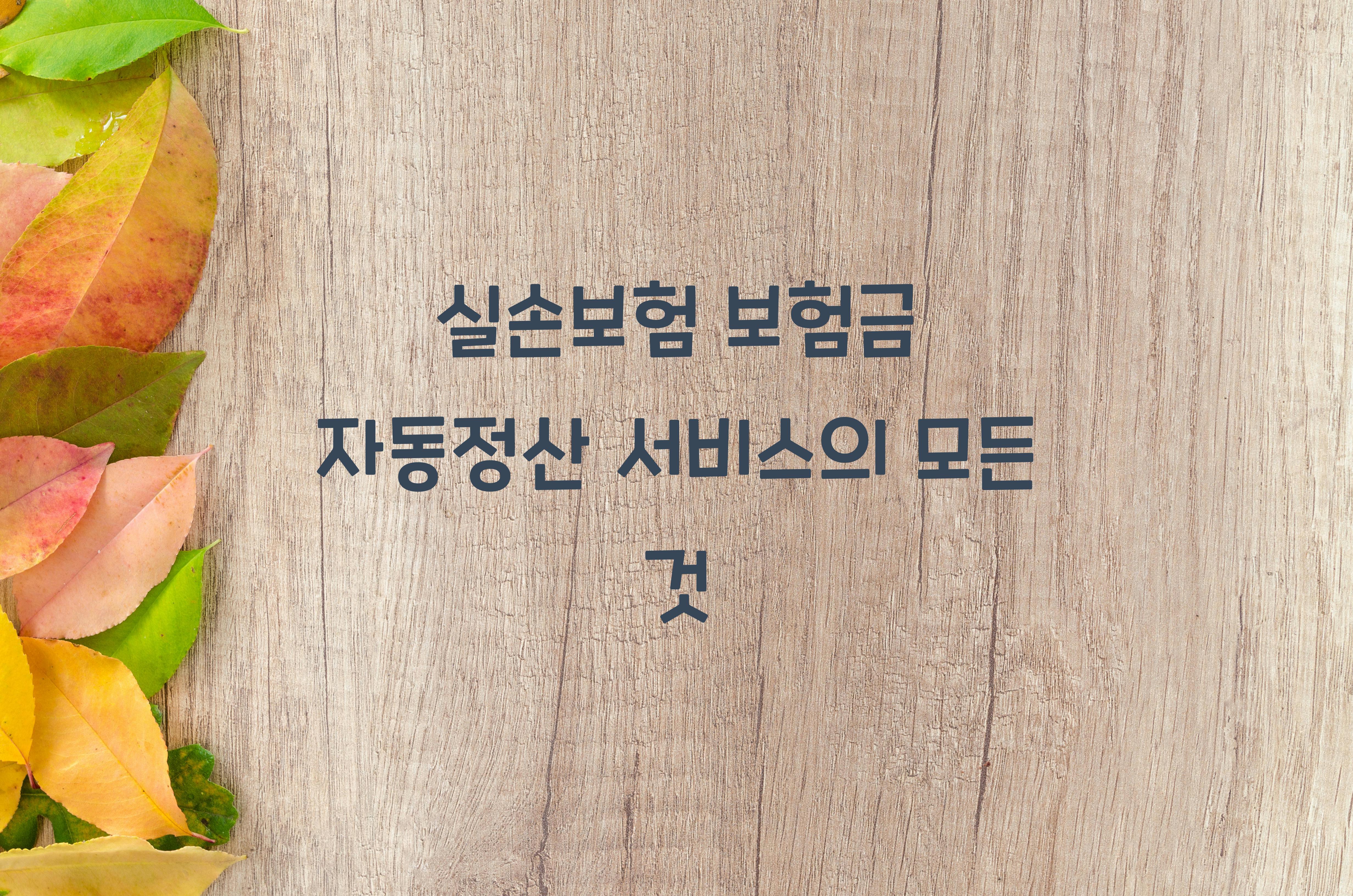 실손보험 보험금 자동정산 서비스