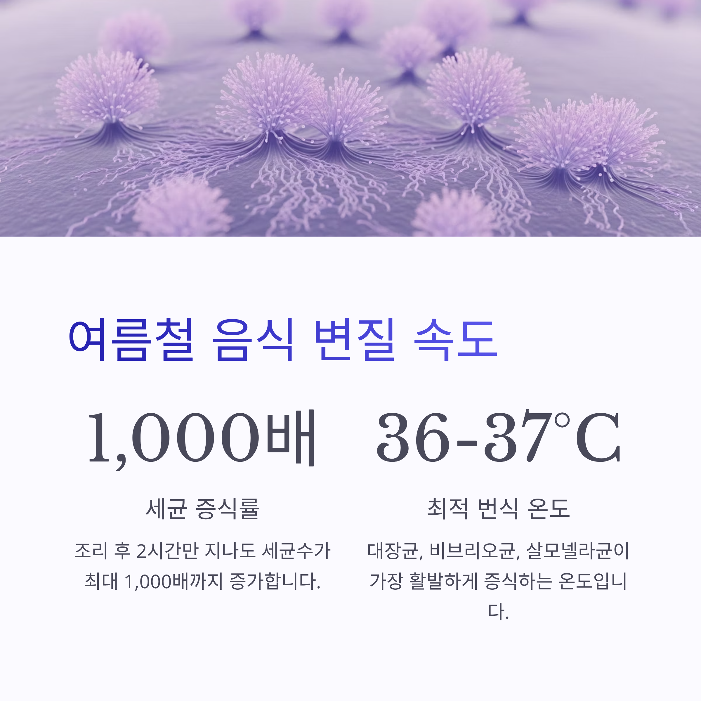 여름철 음식 변질 속도